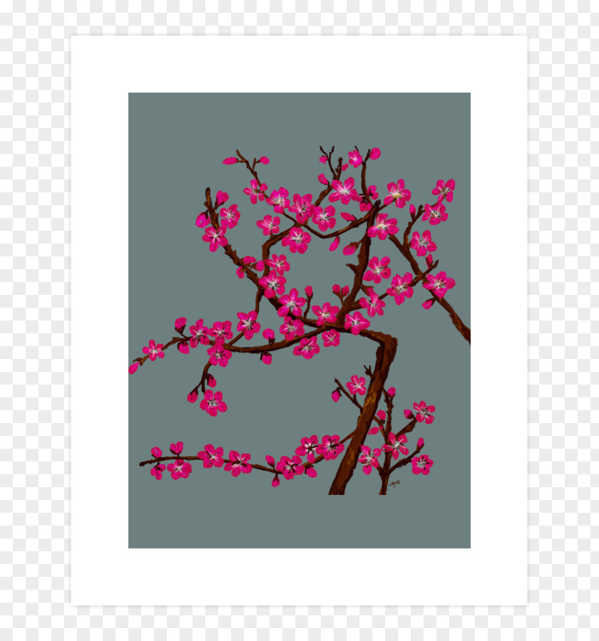 Cherry Blossom Graphic Design Flower Illustration Floral PNG