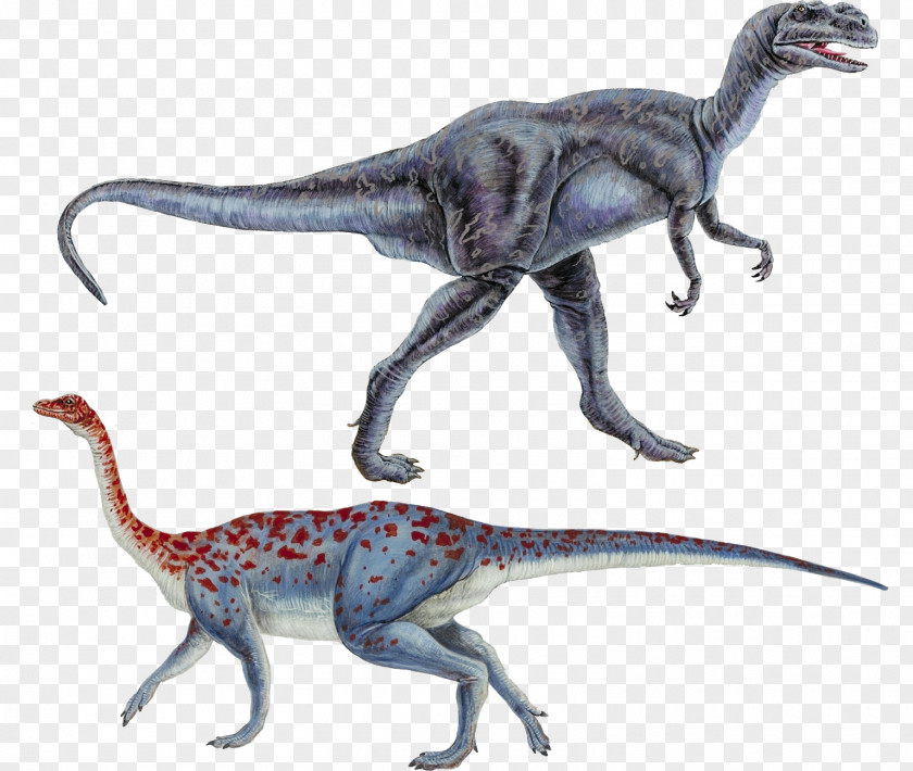 Cretaceous Dinosaur Psittacosaurus Thescelosaurus Tyrannosaurus Masiakasaurus PNG