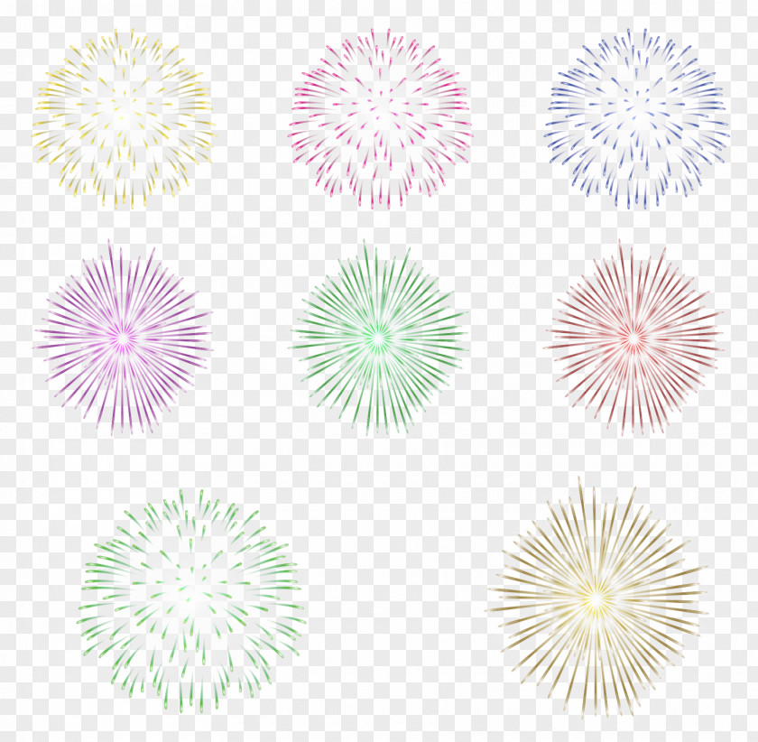 Fireworks Collection Petal Dahlia Pattern PNG