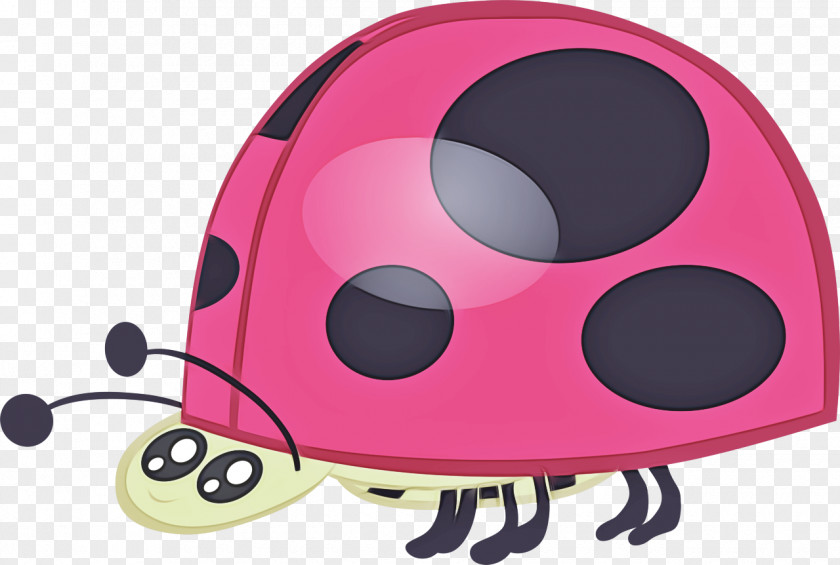 Ladybird Beetle M-audio PNG