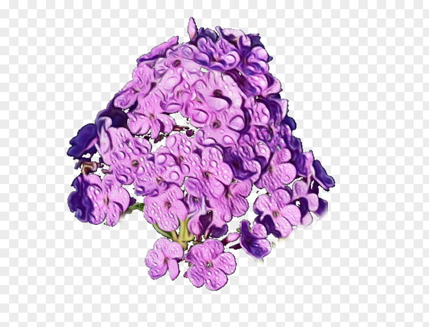 Lavender PNG