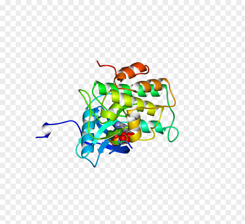 Outlier Insulin Receptor Donohue Syndrome Rabson–Mendenhall PNG