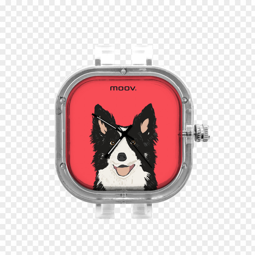 Painting The Border Collie Rough Art Clip PNG