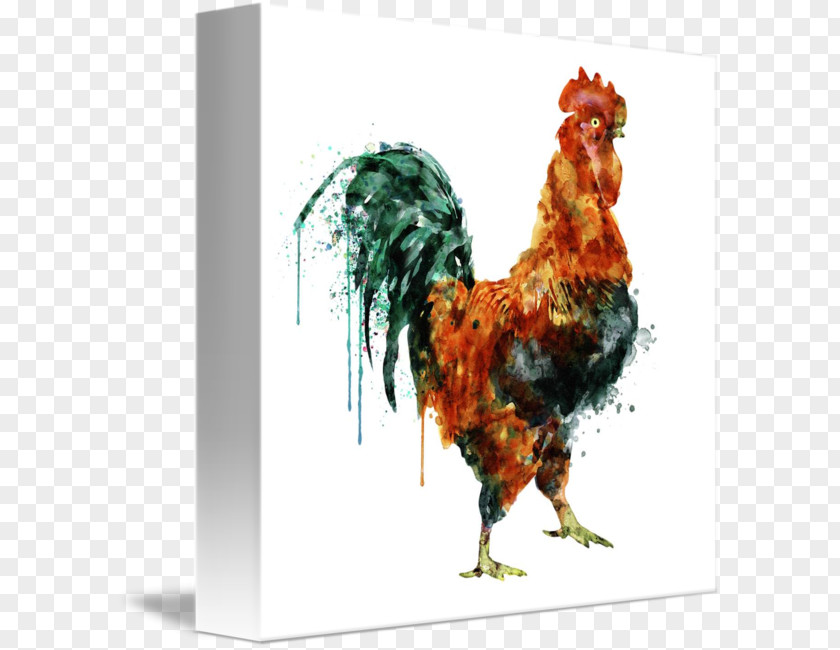 Painting Watercolor Rooster Canvas Art PNG