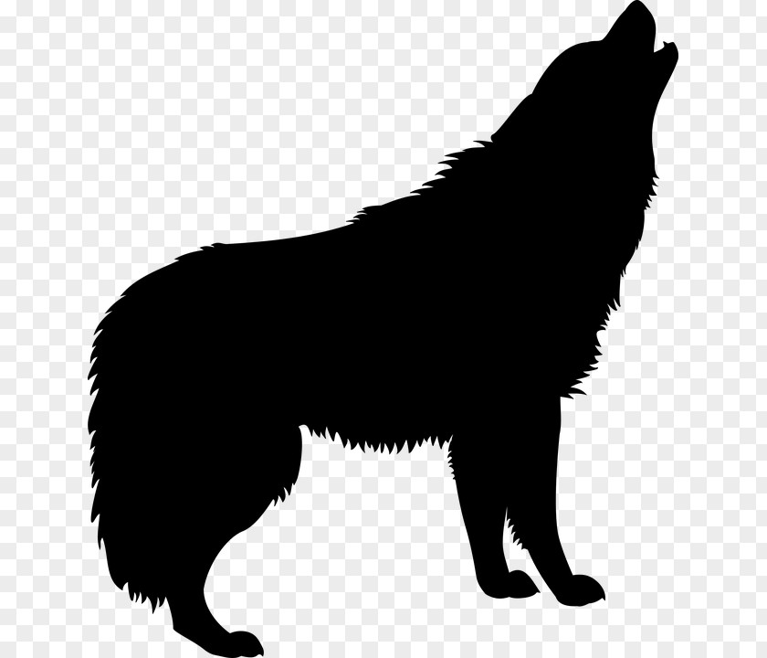 Wolf Illustration Dog Silhouette Drawing Clip Art PNG