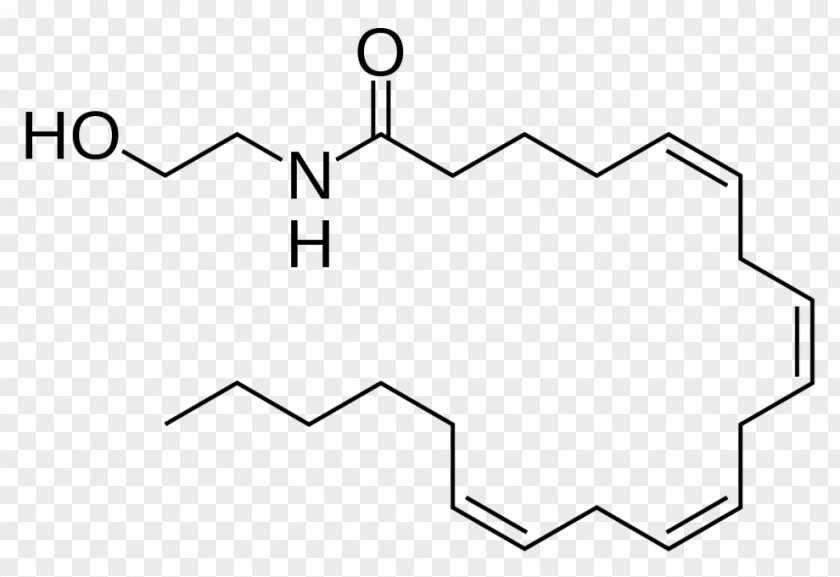 Cannabinoid Anandamide Molecule Endocannabinoid System Receptor PNG