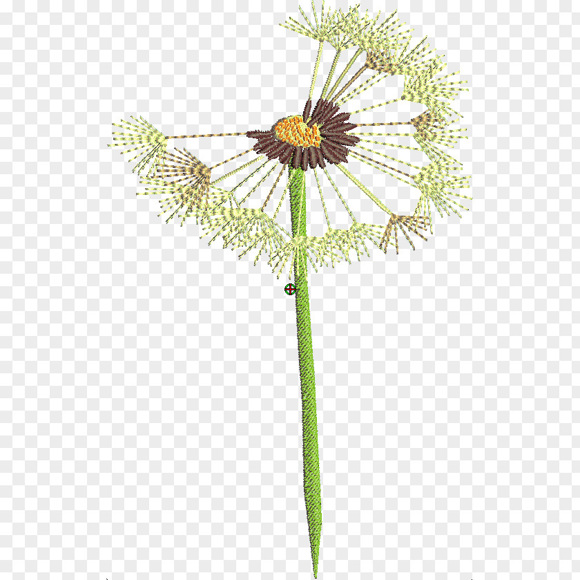 Dandelion Twig Cut Flowers Plant Stem PNG