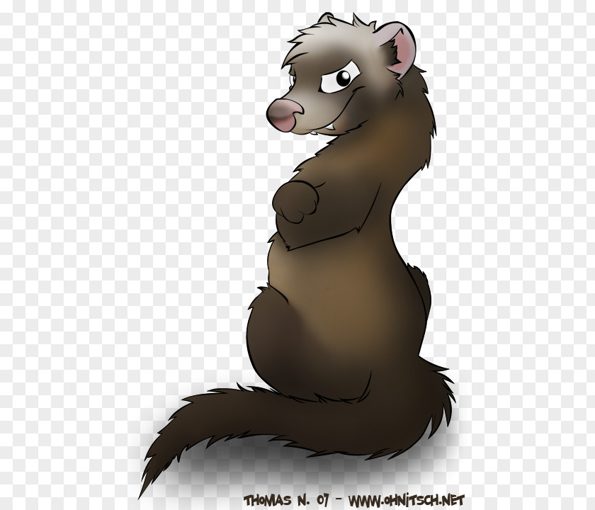 Ferret Animated Cartoon Drawing PNG