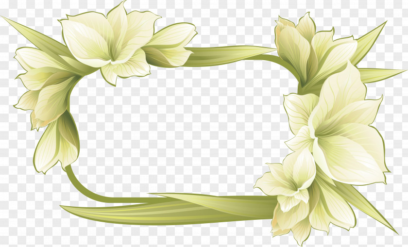 Flower Round Picture Frames PNG