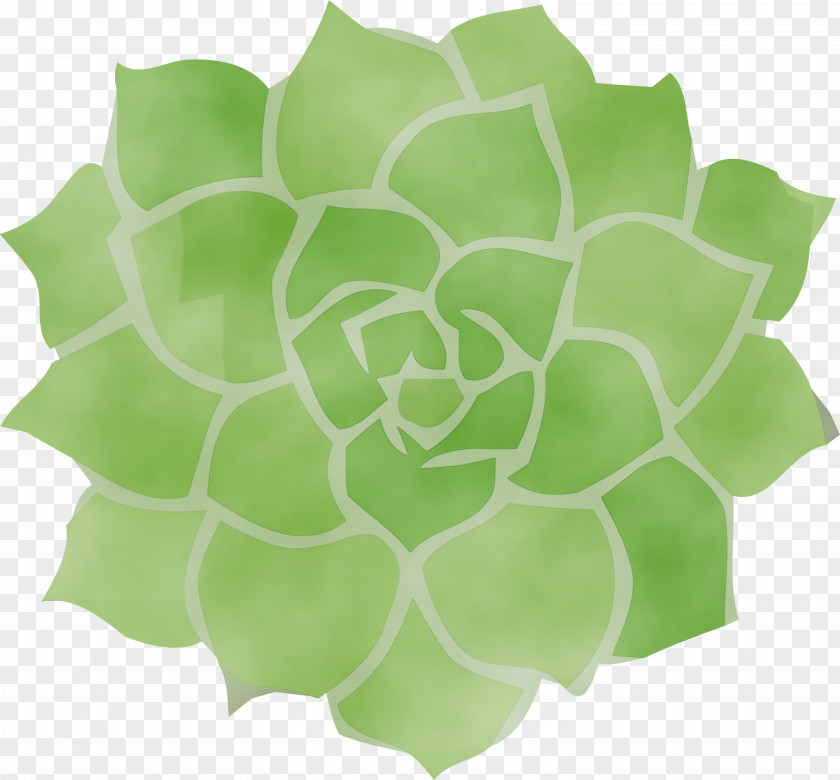 Green PNG