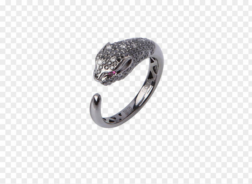 Rings Picture Cartoon Pictures Ring Jewellery PNG