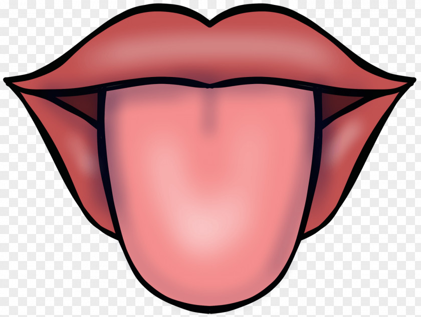 Taste Buds Tongue Mouth Lip Phonation Human Tooth PNG