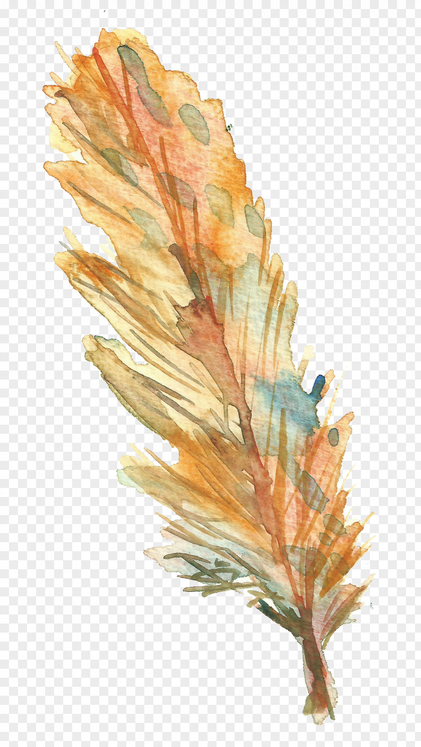 Yellow Feather Bird Drawing PNG