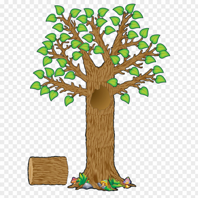Cork Board Bulletin Tree Teacher Classroom Education PNG