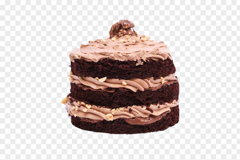 Exquisite Cake German Chocolate Truffle Praline Ganache PNG