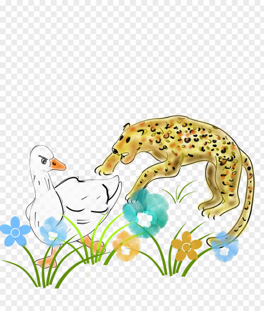 Cheetah Goose Animal Carnivora PNG