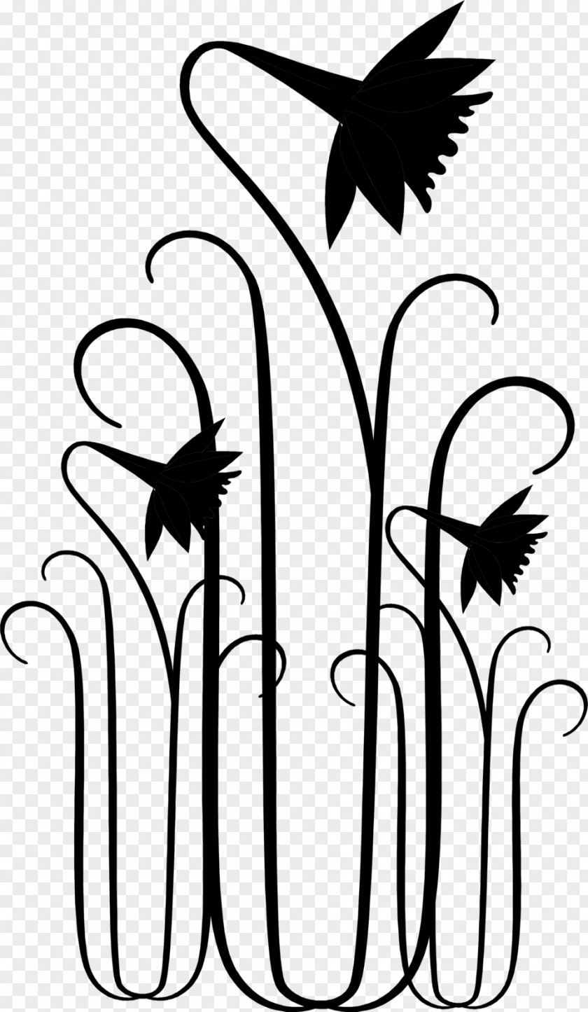 Flower Floral Design Black And White Drawing PNG