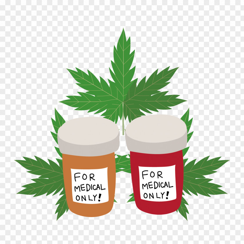 Medical Cannabis Hemp Kitazawa Herbalism PNG