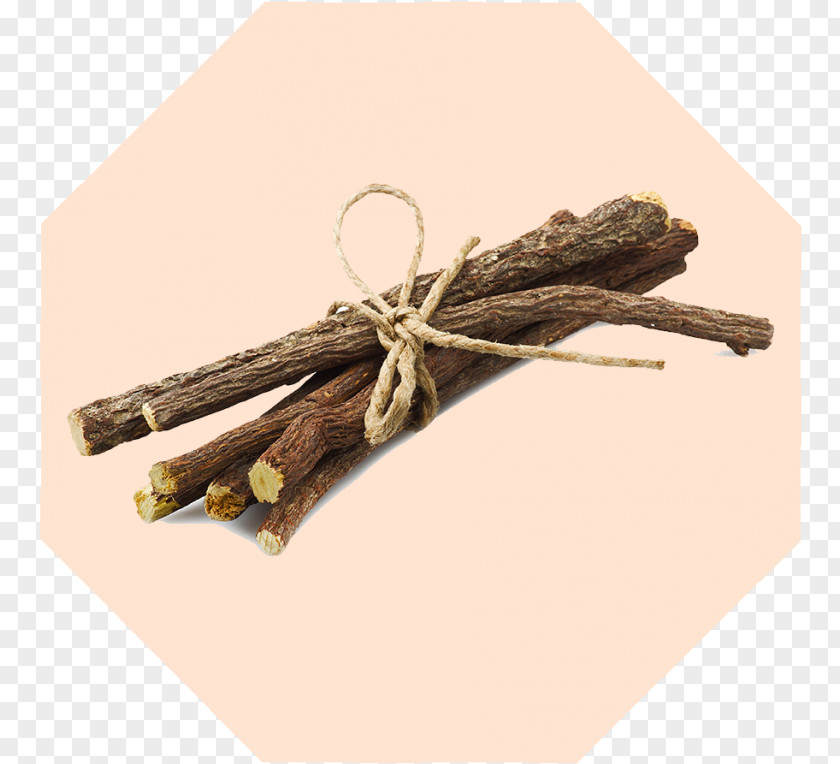 Plant Herb Medicinal Plants Liquorice Enoxolone PNG