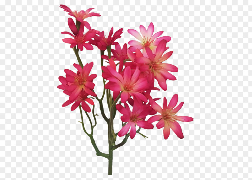 Wildflower Plant Stem Flower Flowering Pink Petal PNG