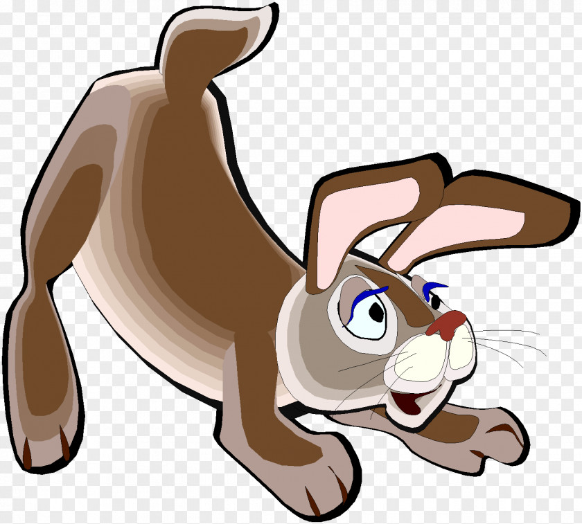 Animation European Rabbit Animal Clip Art PNG