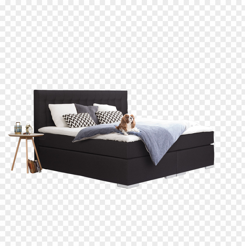 Bed Size Couch Sofa Box-spring PNG