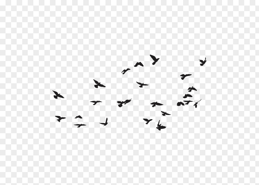 Bird Flock Royalty-free PNG