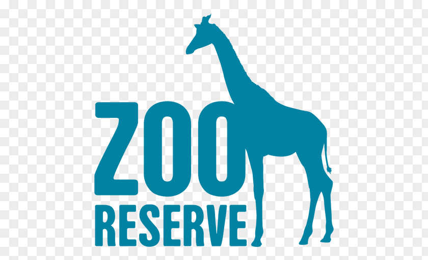 Giraffe Logo Zoo Animal Clip Art PNG