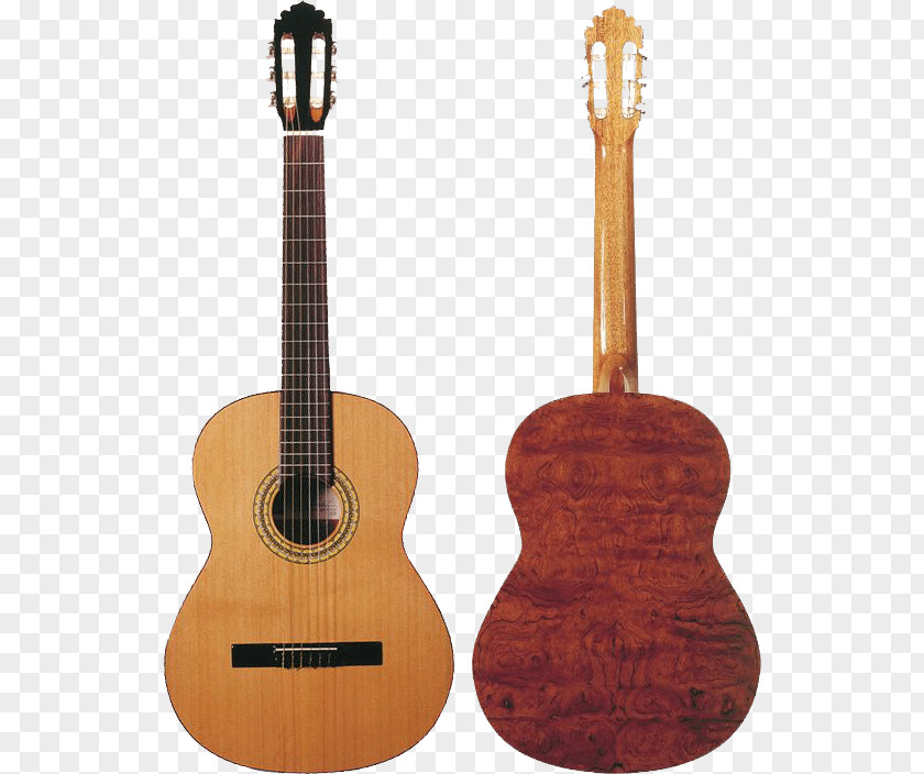 Guitar Classical Acoustic Larrivée Squier PNG