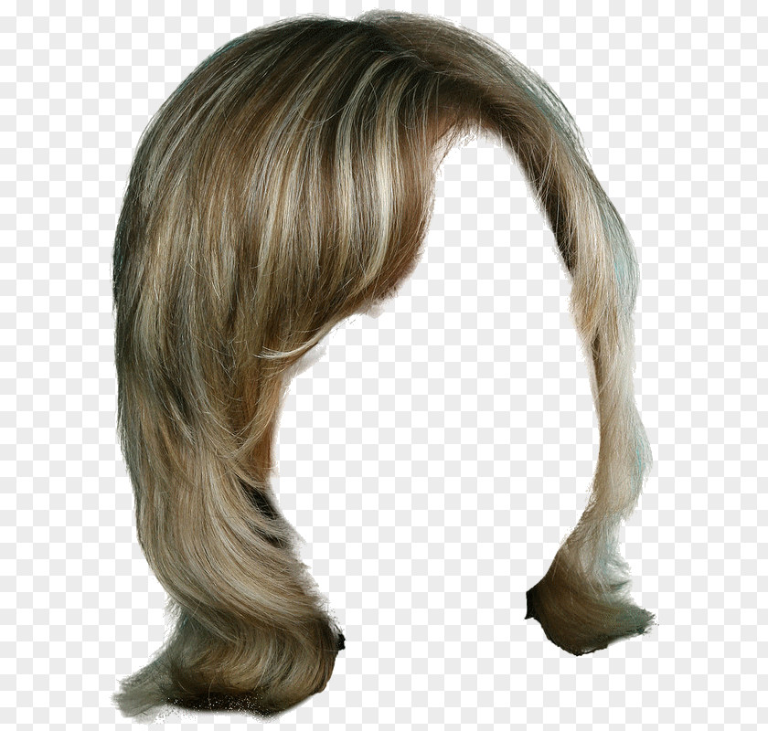 Hair Wig Hairstyle Long Layered PNG