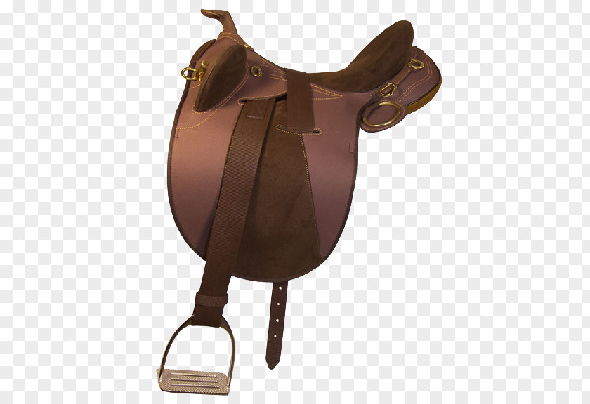 Horse Australian Stock Saddle Western Equestrian PNG