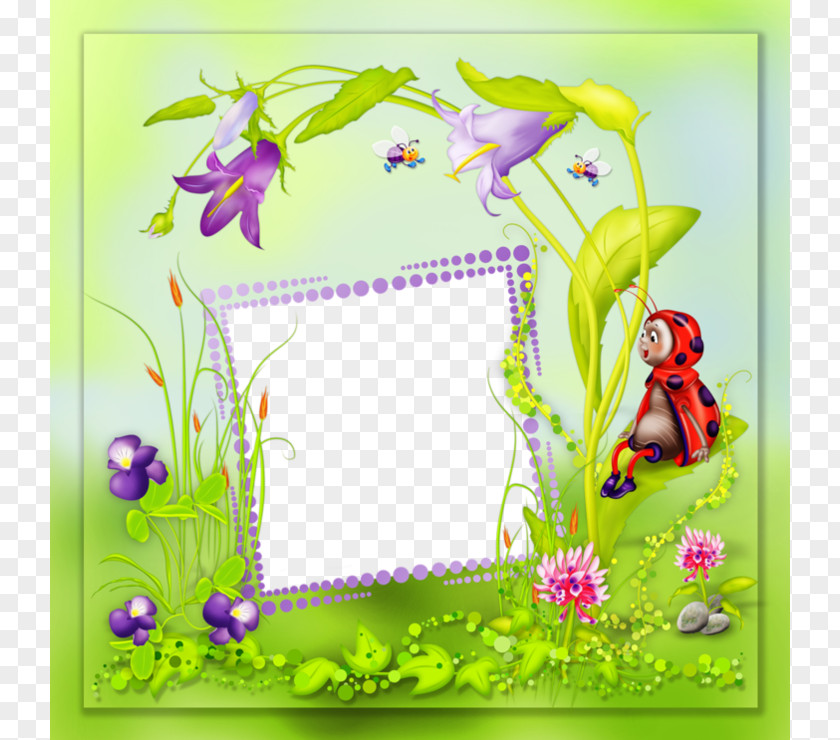 Ladybug Decorative Frame Hummingbird Paper Flower Wallpaper PNG