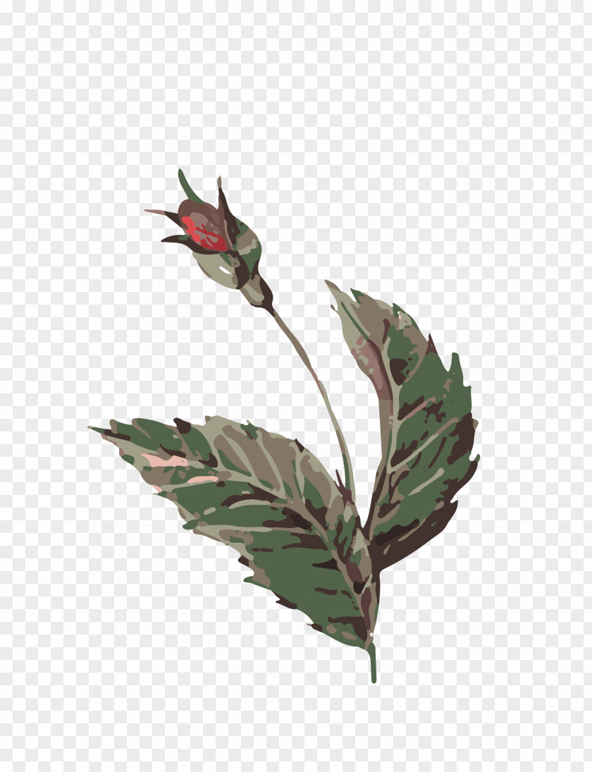 Leaf Bud Watercolor Painting PNG