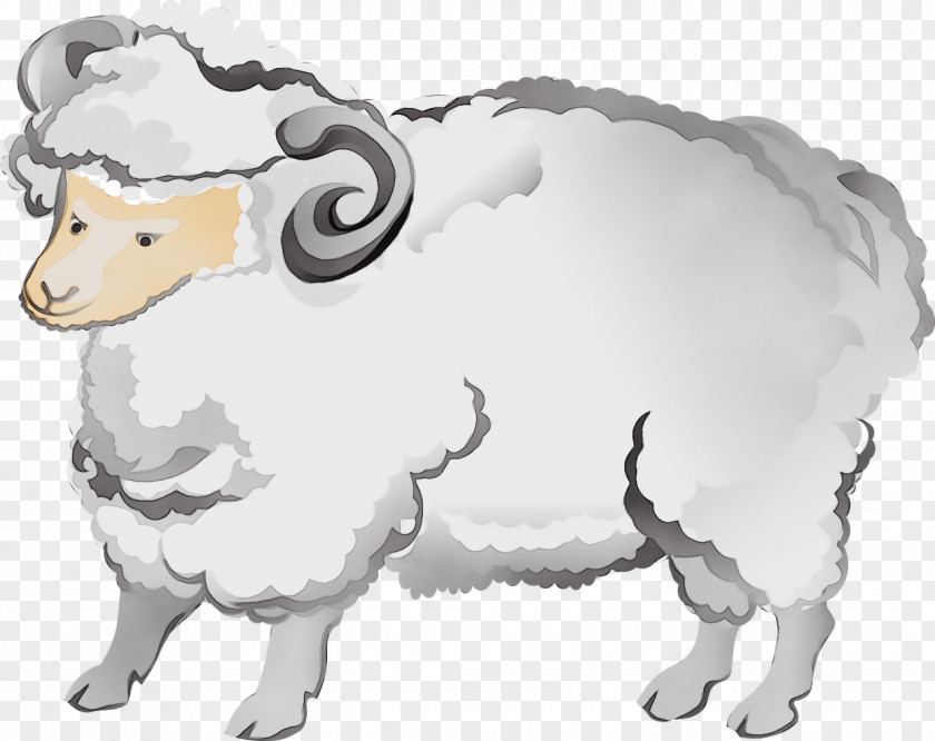 Sheep Cattle Illustration Mouflon Image PNG