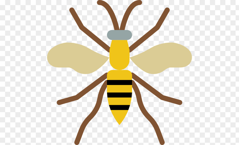 Wasp PNG