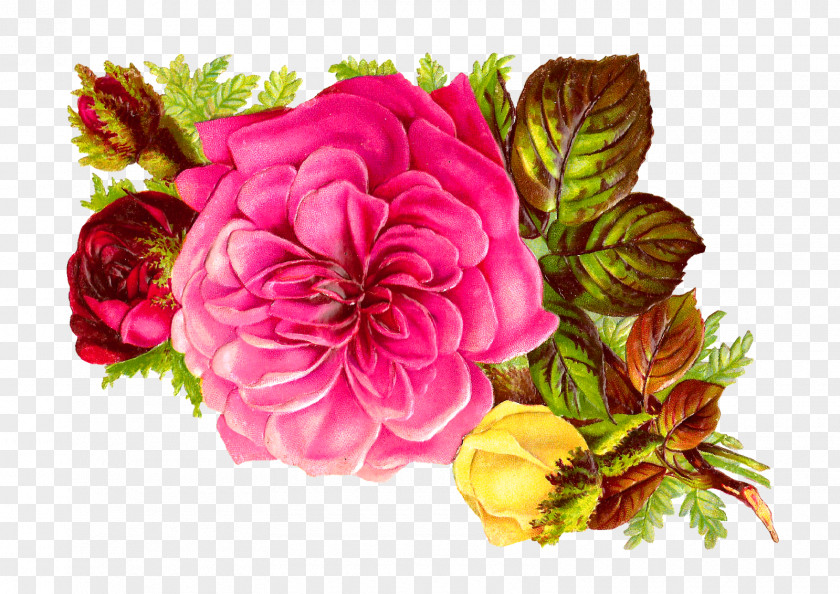 Bouquet Of Flowers Flower Rose Pink Clip Art PNG