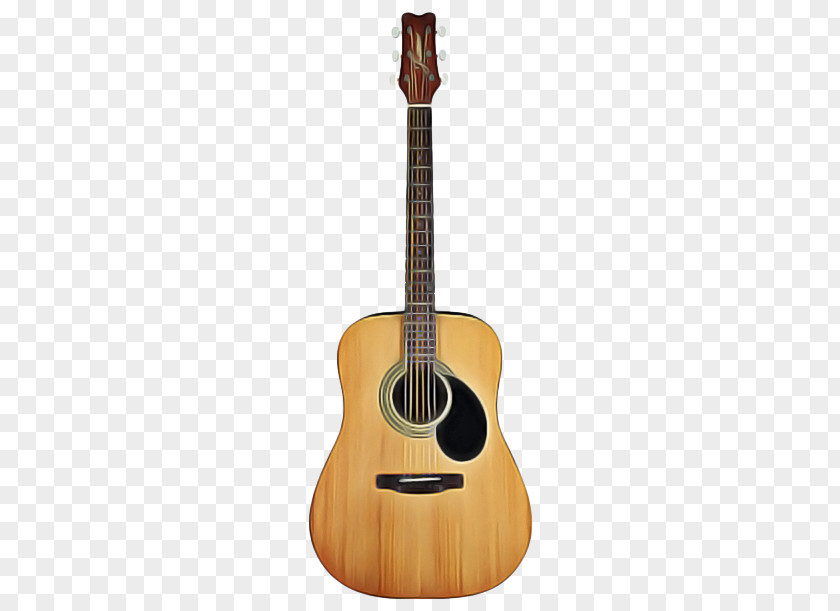 Jarana Jarocha Acousticelectric Guitar PNG