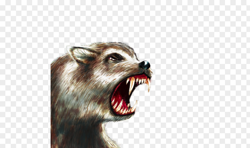 Raccoon Gray Wolf Dire The Battle For Wesnoth Snout PNG
