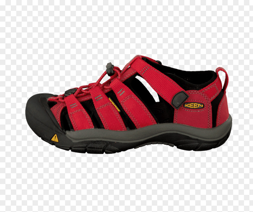 Sandal Slipper Sports Shoes ECCO PNG