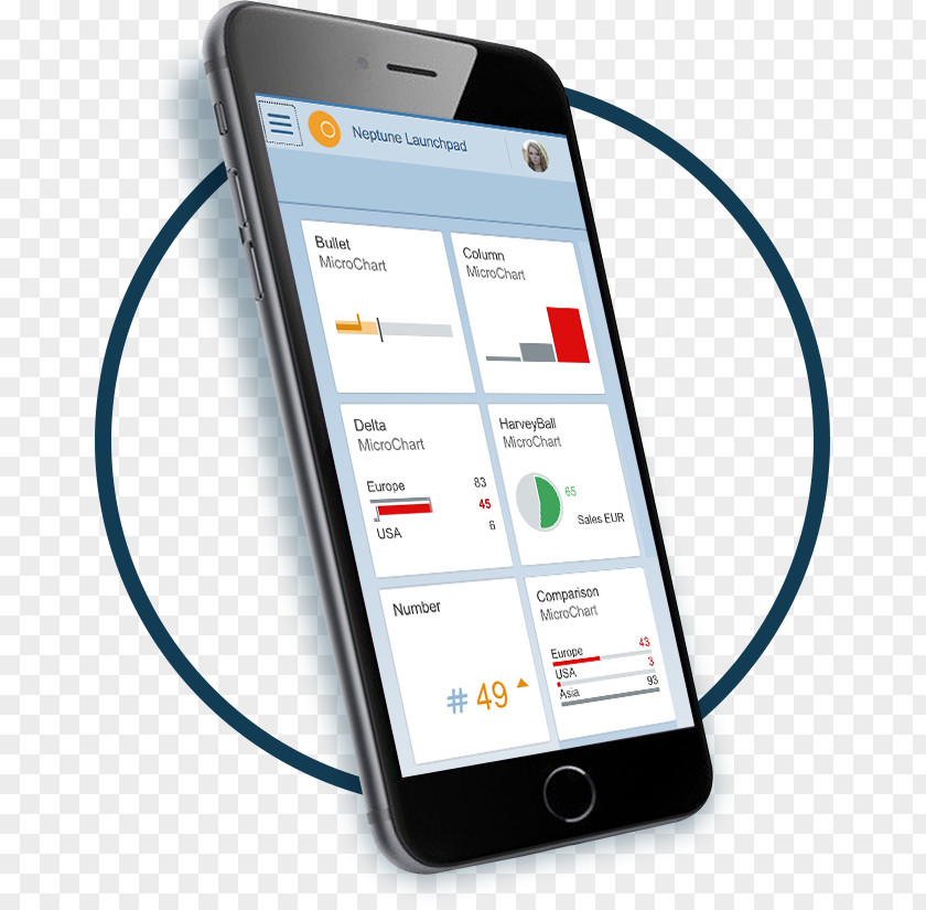 SAP ERP Mobile App Development Phones SE PNG