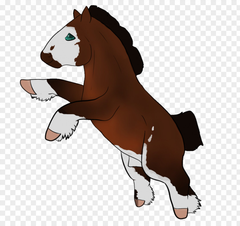 Mustang Donkey Rein Stallion Mane PNG