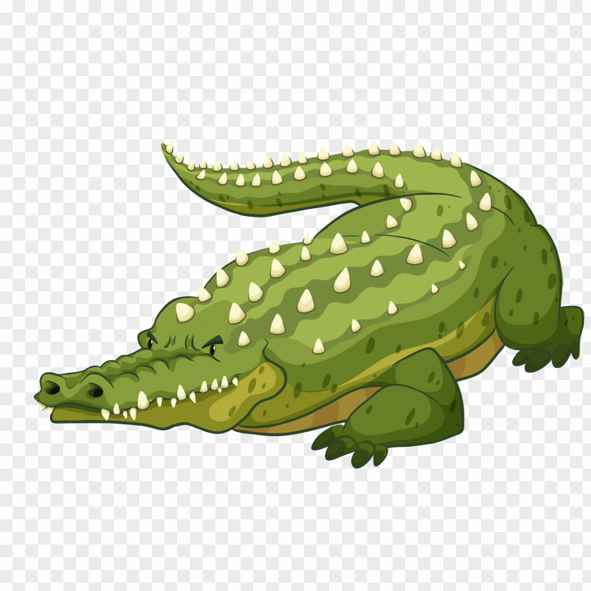 Alligator Alligators Crocodile Vector Graphics Royalty-free Stock Photography PNG