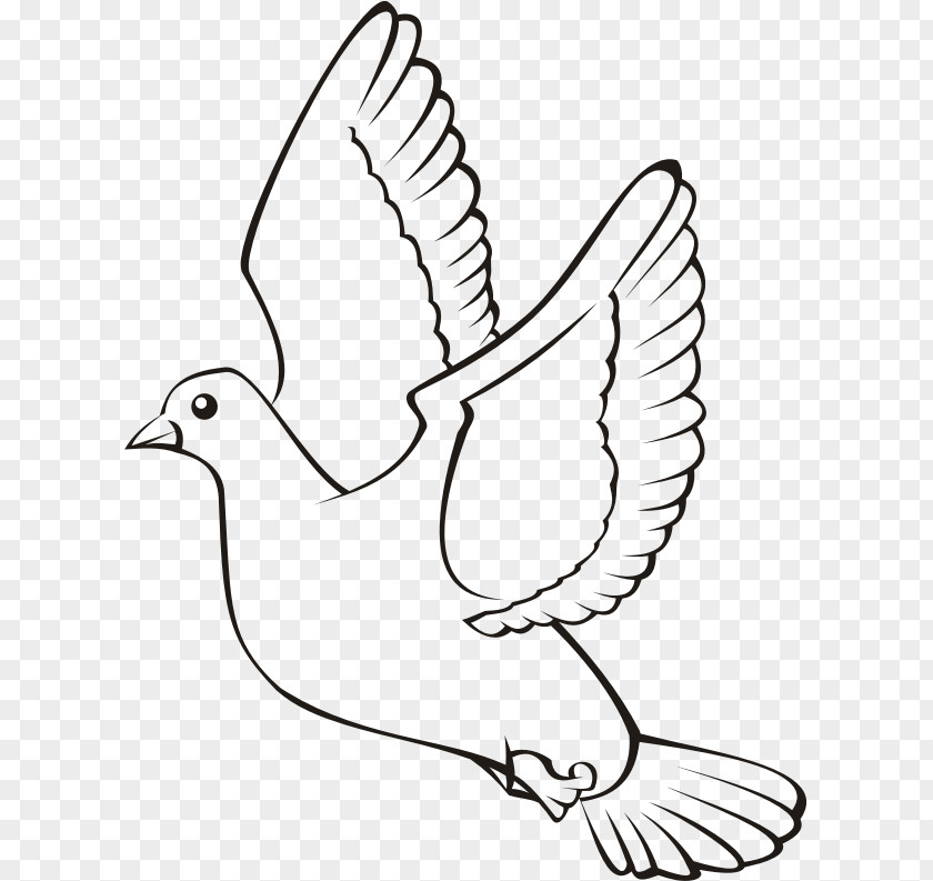 Chicken Bird Flight Clip Art PNG