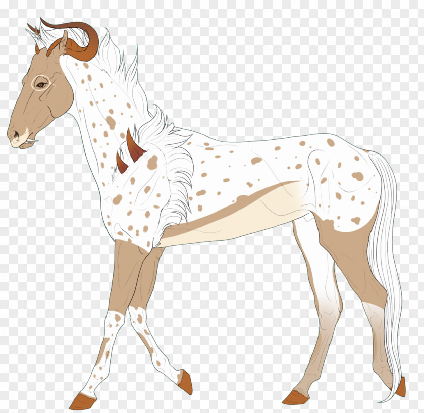 Mustang Mule Foal Pony Giraffe PNG
