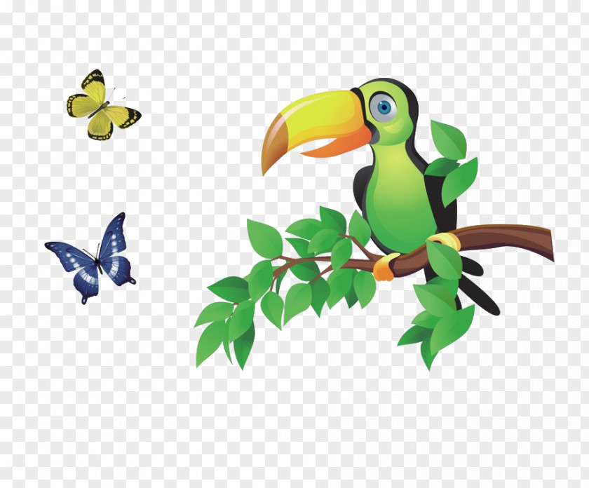 Parrot Singing In The Tree Bird Animal PNG