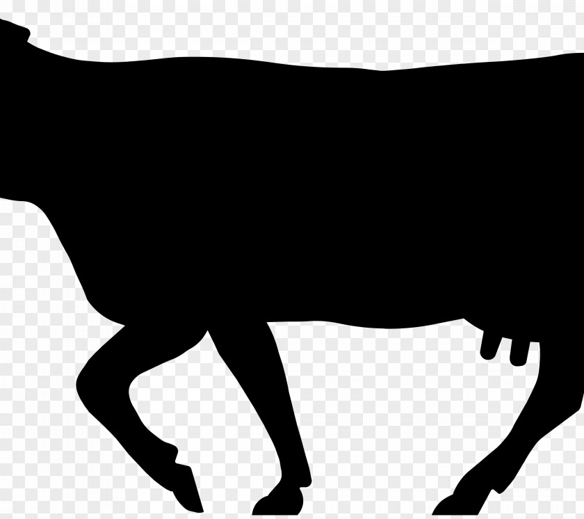 Silhouette Angus Cattle Beef Jersey English Longhorn Ox PNG