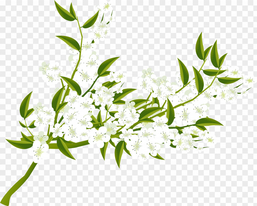 Spring Flower Painting Art Clip PNG