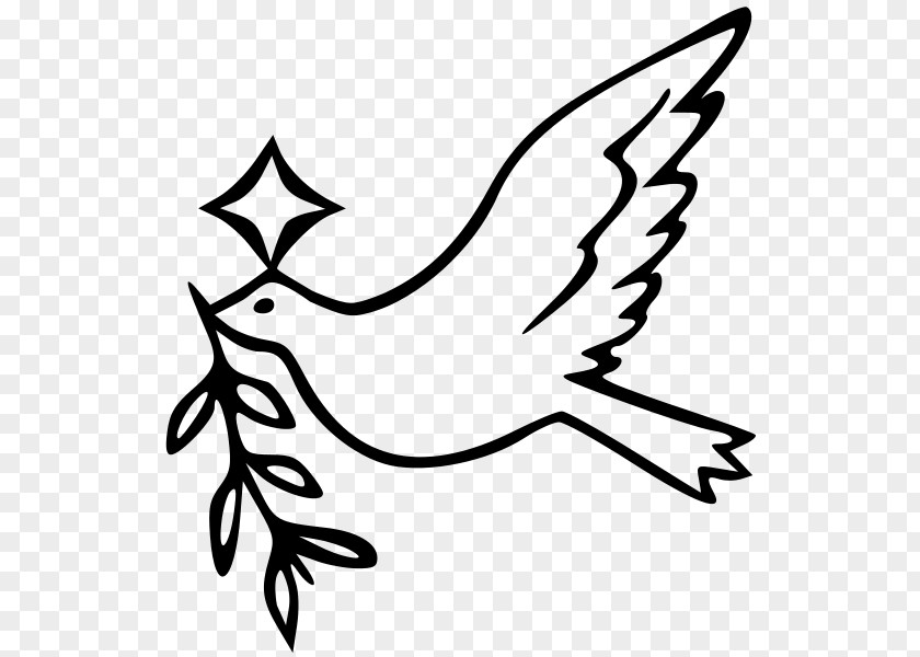 Symbol Columbidae Coloring Book Doves As Symbols International Day Of Peace (United Nations) PNG