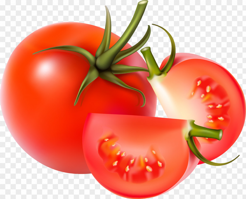 Tomato Blue Tomatosphere Vegetable Stock PNG