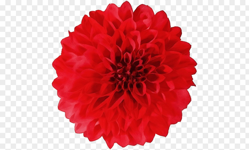 Zinnia Artificial Flower PNG